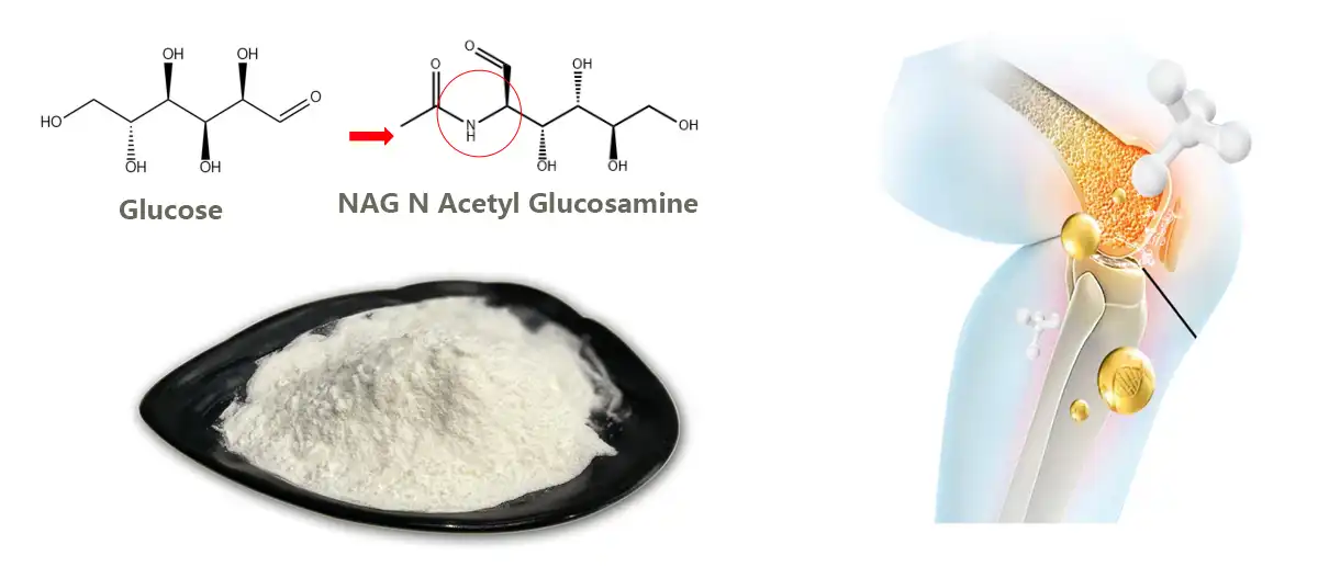 NAG N Acetyl Glucosamine Powder.jpg